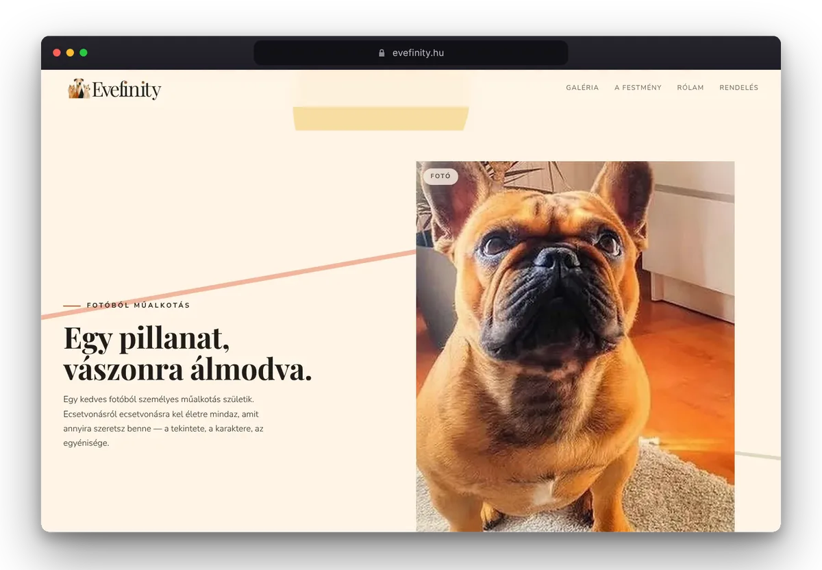 Website von Evefinity im Browser, Ansicht 3