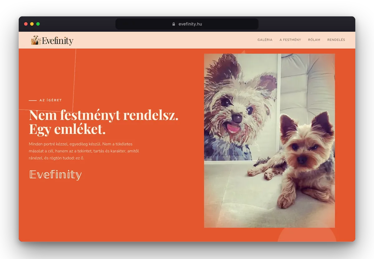 Website von Evefinity im Browser, Ansicht 5